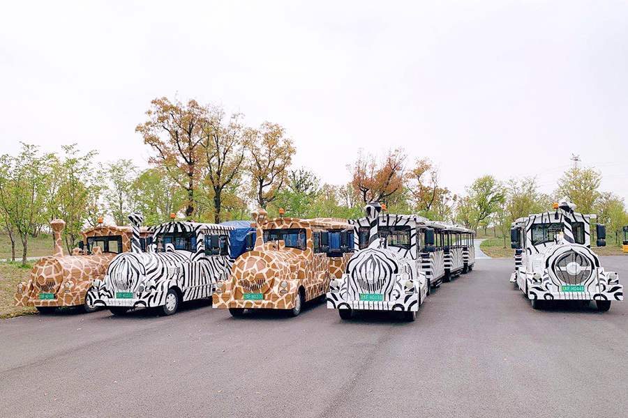 Back-to-back-stijl halfgesloten rijtuigen 24 elegante grote ongebaande sightseeingtreinen