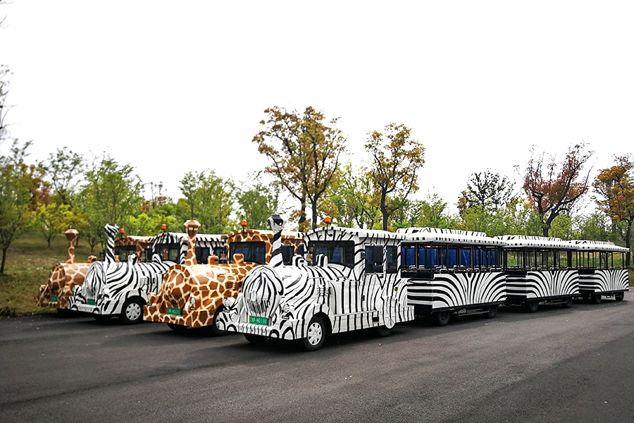 Back-to-back-stijl halfgesloten rijtuigen 24 elegante grote ongebaande sightseeingtreinen